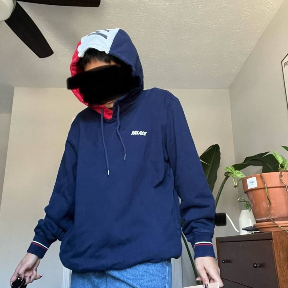 Palace Hoodie